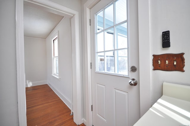 doorway to outside with dark wood-type flooring