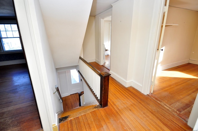 stairs with wood-type flooring and plenty of natural light