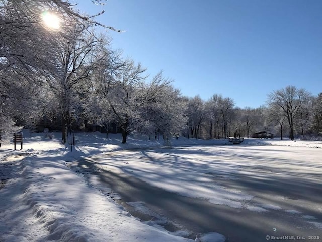 view of yard covered in snow