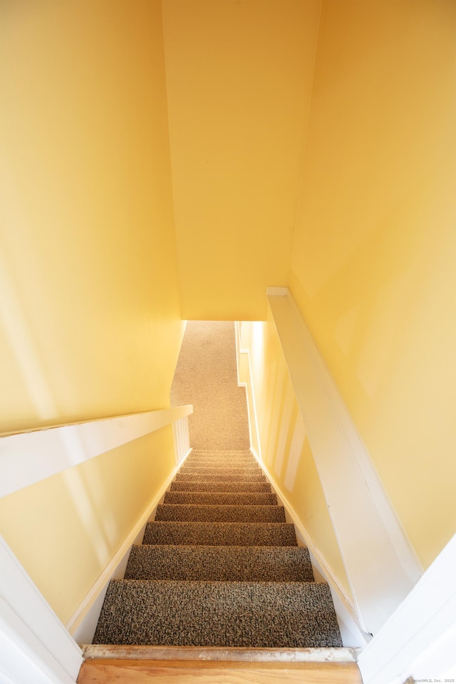 stairway with carpet