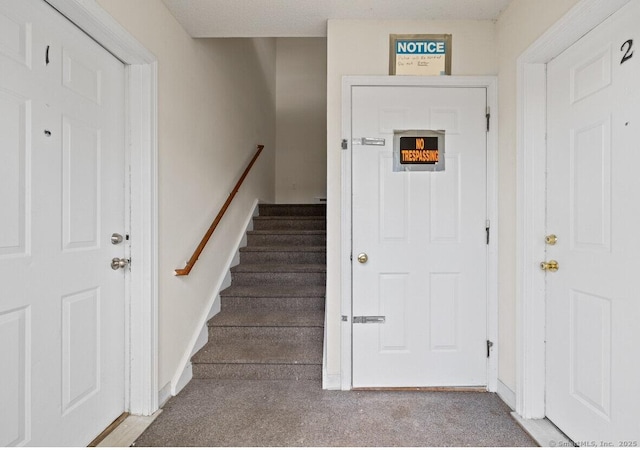 stairway featuring carpet flooring