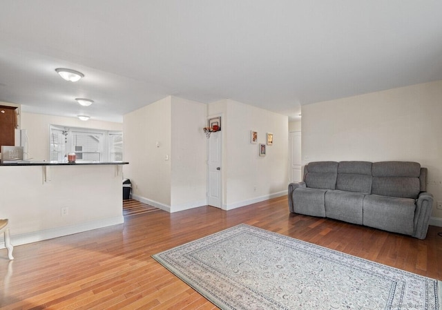 living room featuring hardwood / wood-style flooring