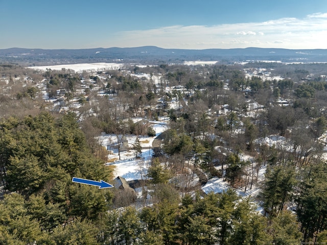 bird's eye view featuring a mountain view