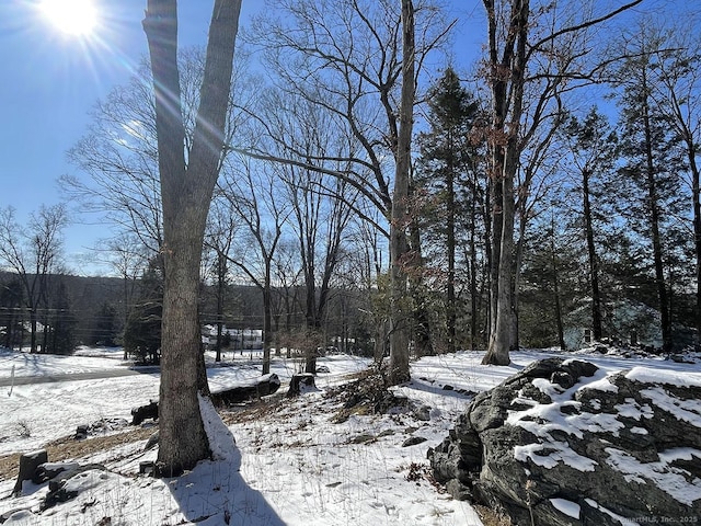 view of snowy yard