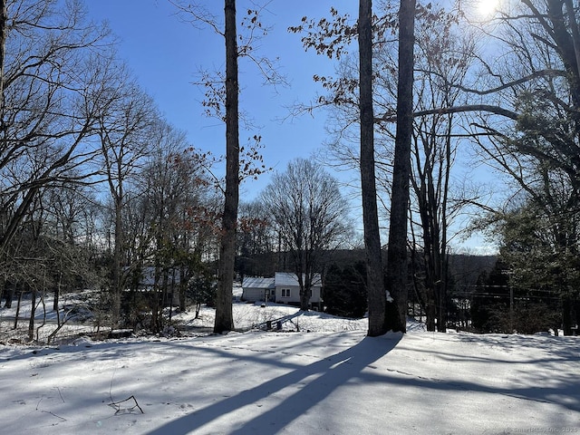 view of snowy yard