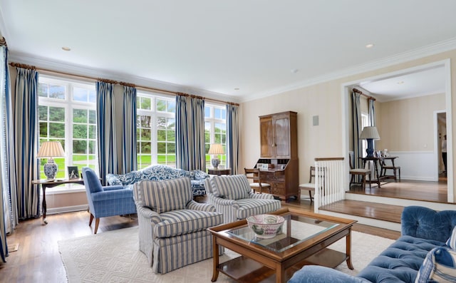 living room with crown molding and light hardwood / wood-style flooring