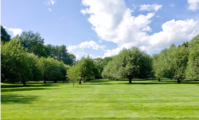 view of community featuring a lawn