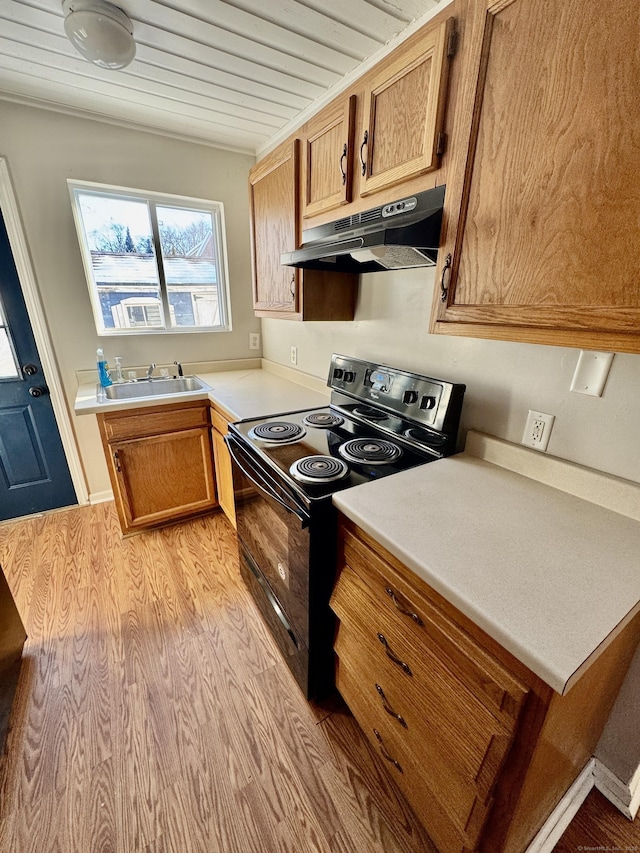 kitchen with sink, light wood-type flooring, and black / electric stove