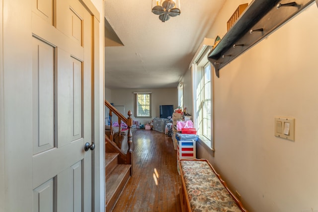 foyer with dark hardwood / wood-style flooring