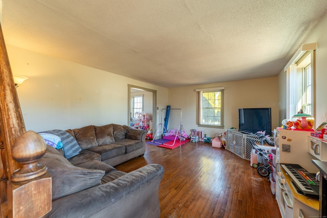 living room featuring dark wood-type flooring and a textured ceiling