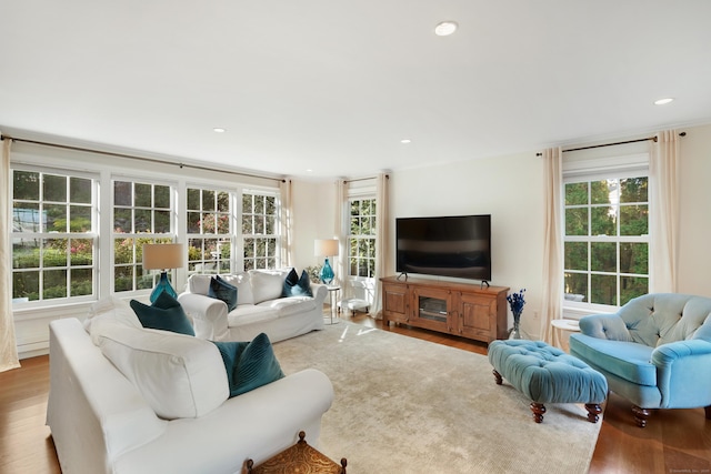 living room with wood finished floors and recessed lighting