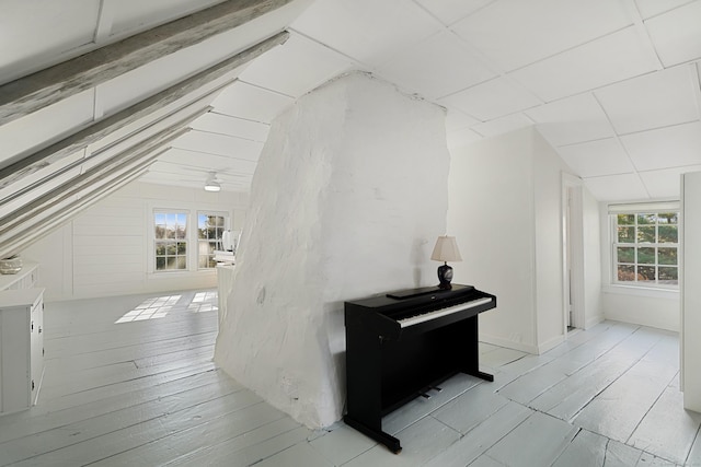 hall featuring healthy amount of natural light, lofted ceiling, and light wood-style flooring