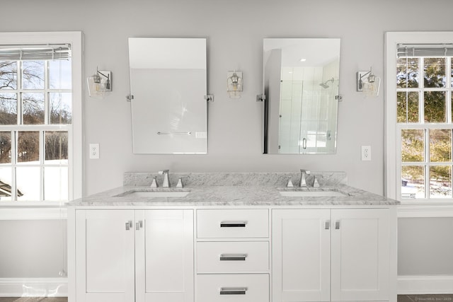 bathroom featuring vanity and a wealth of natural light