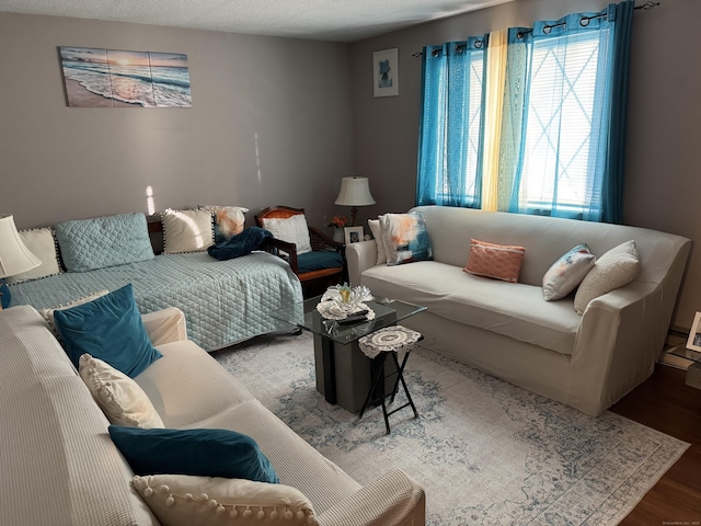 living room with hardwood / wood-style flooring