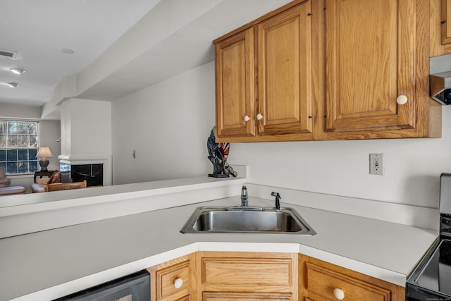 kitchen featuring a high end fireplace, range, dishwasher, and sink