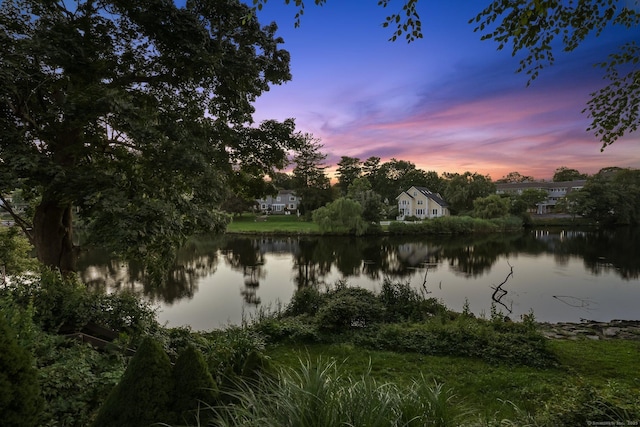 property view of water