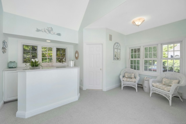 living area featuring lofted ceiling and light colored carpet