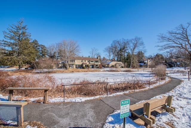 view of yard covered in snow