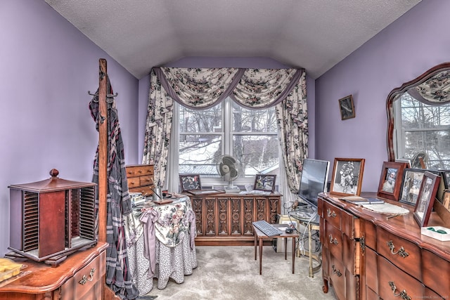 office space with vaulted ceiling, a textured ceiling, plenty of natural light, and light colored carpet