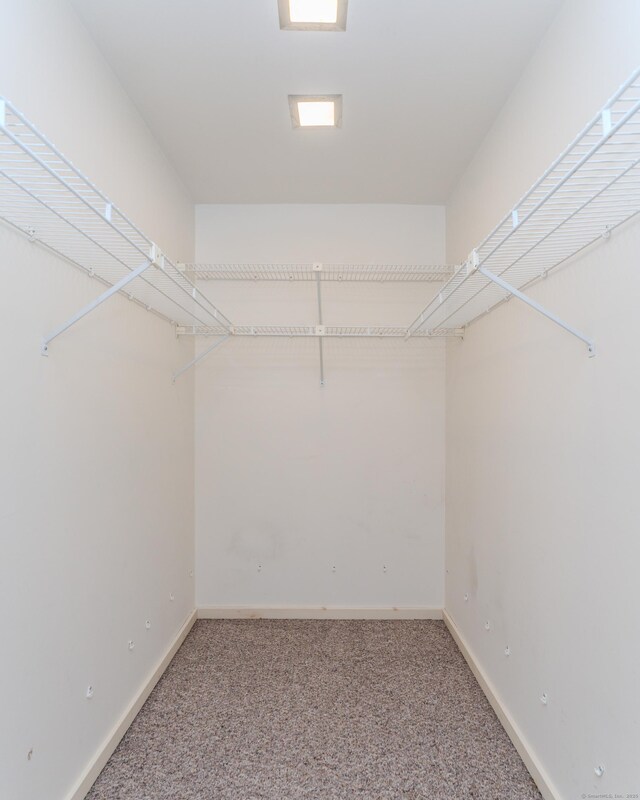 walk in closet with carpet floors