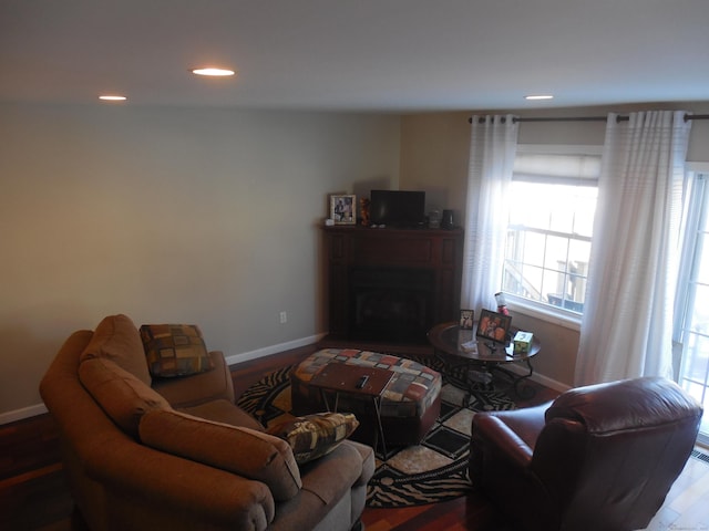 living room featuring hardwood / wood-style flooring