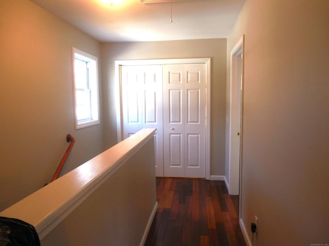 hallway featuring dark hardwood / wood-style flooring