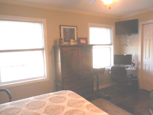 bedroom with crown molding, ceiling fan, and dark wood-type flooring