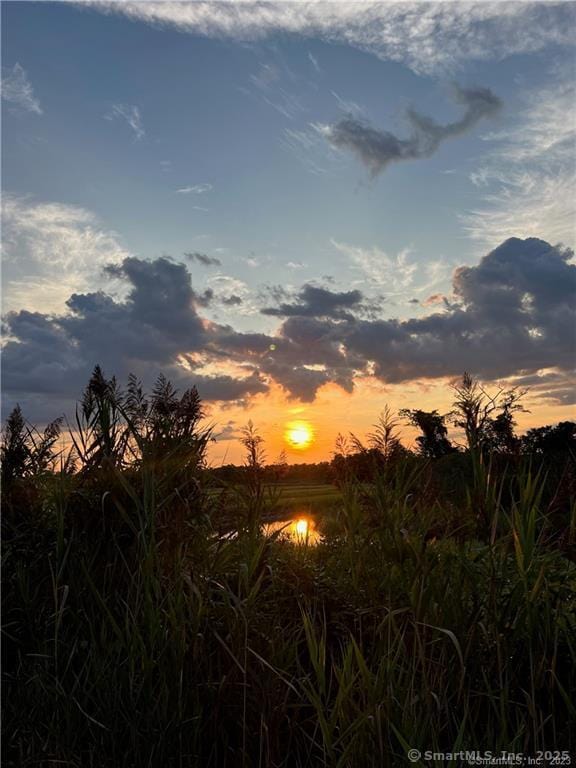 view of nature at dusk