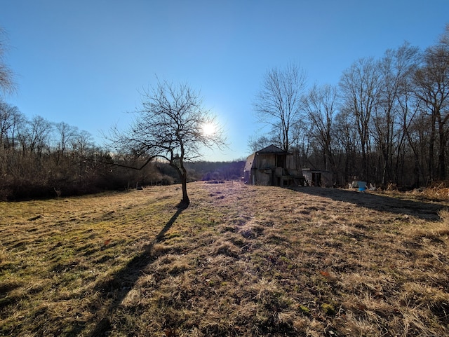 view of yard with a rural view