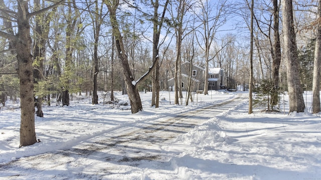 view of yard covered in snow