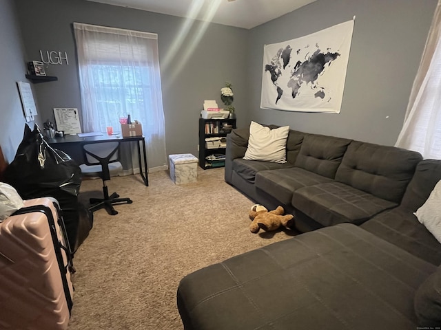 living room featuring carpet floors