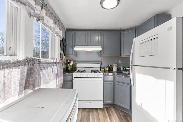 kitchen featuring hardwood / wood-style flooring, gray cabinetry, and white appliances