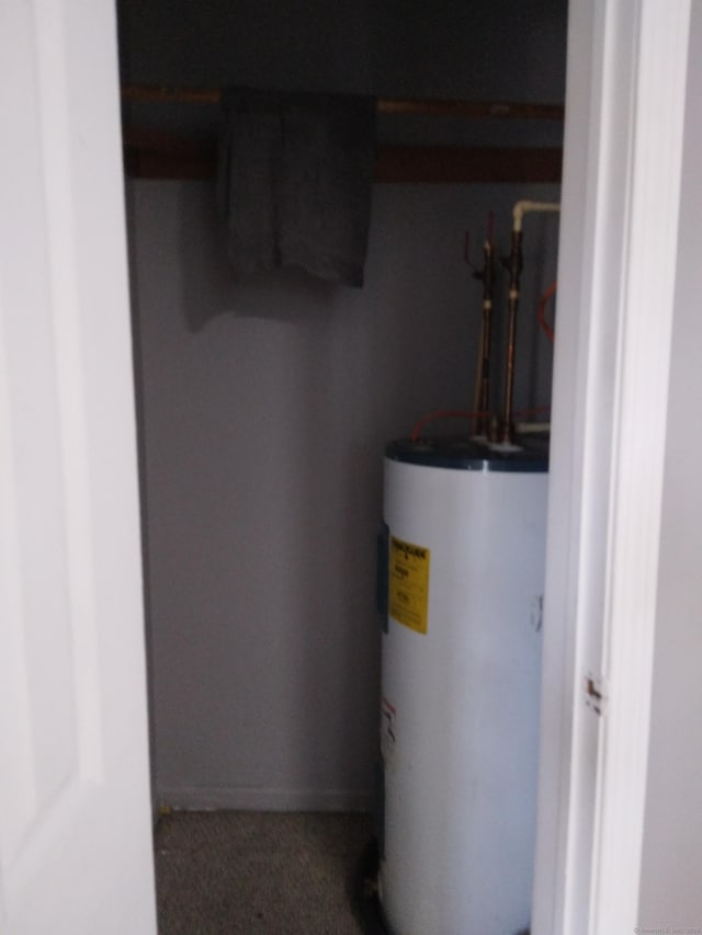 utility room with water heater