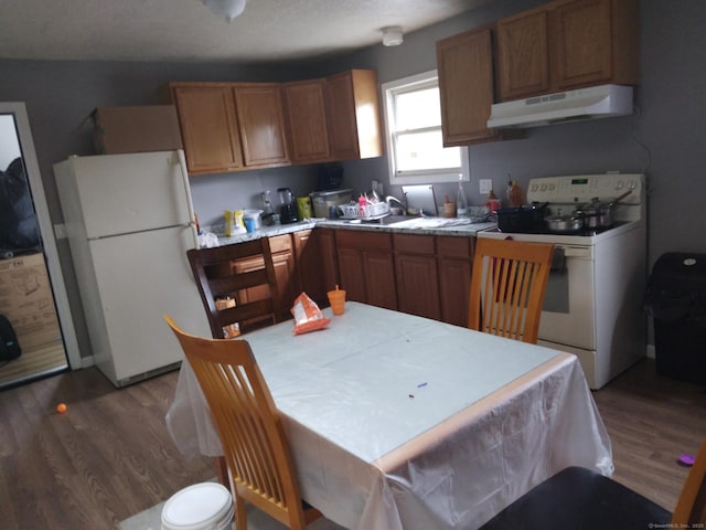 kitchen featuring sink, white appliances, and wood-type flooring