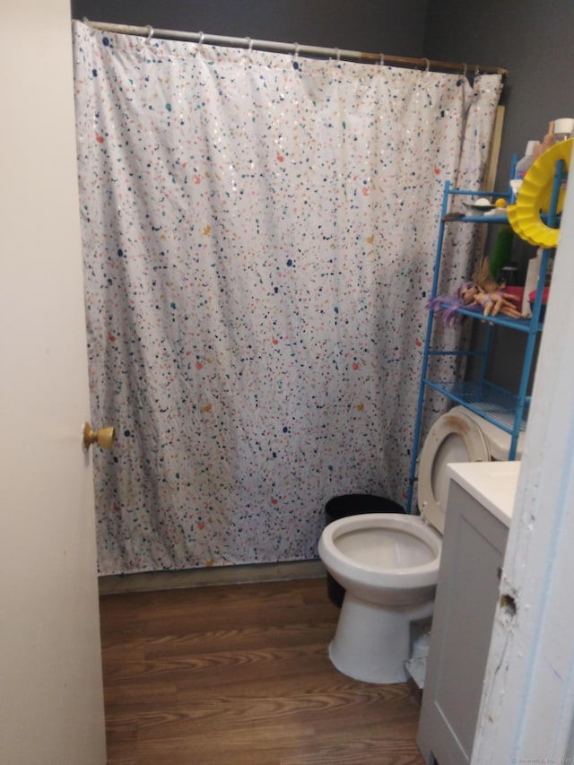 bathroom with hardwood / wood-style flooring, vanity, and toilet