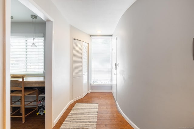 hallway featuring wood-type flooring