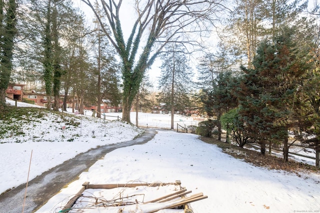 view of snowy yard