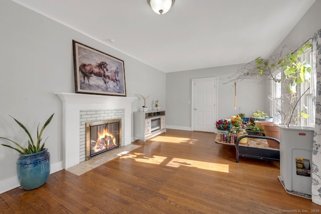 living room featuring a fireplace and wood-type flooring