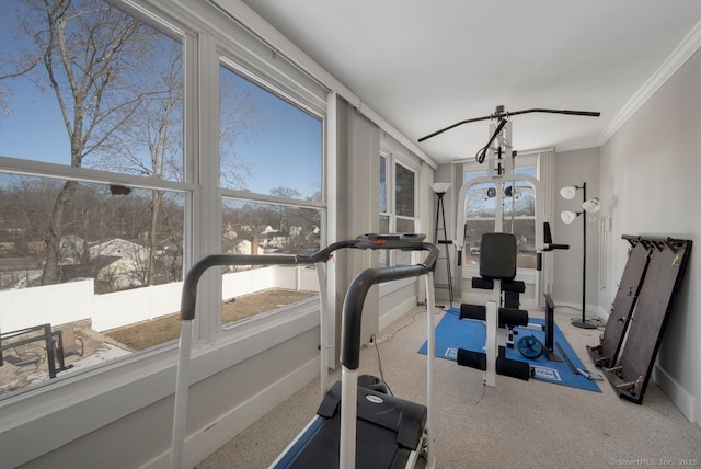 workout area with crown molding