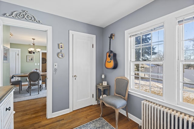 sitting room featuring an inviting chandelier, a healthy amount of sunlight, radiator heating unit, and dark hardwood / wood-style flooring