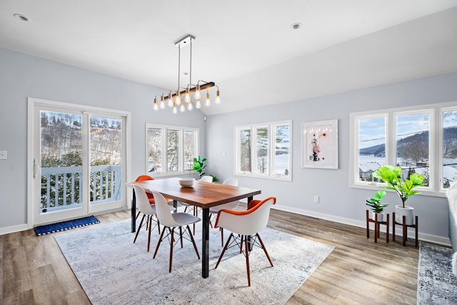 dining area featuring lofted ceiling and wood-type flooring