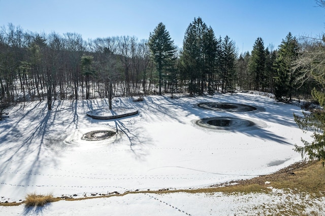 view of snowy yard