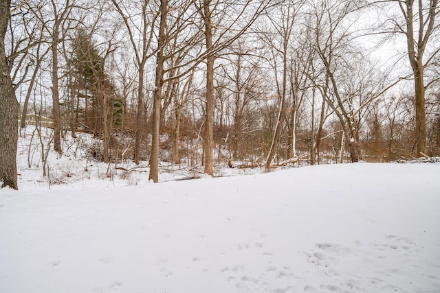 view of yard layered in snow