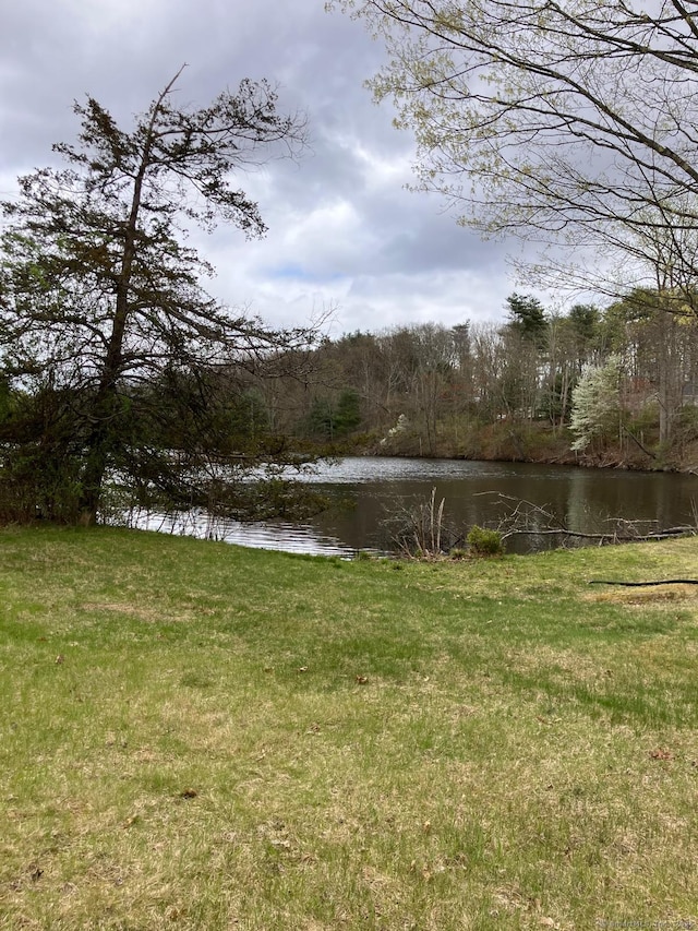 view of yard featuring a water view