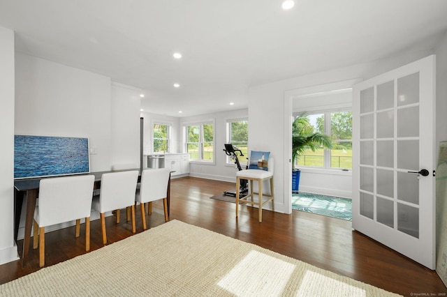 interior space with dark wood-type flooring