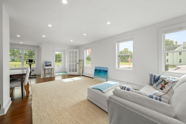 living room featuring hardwood / wood-style flooring