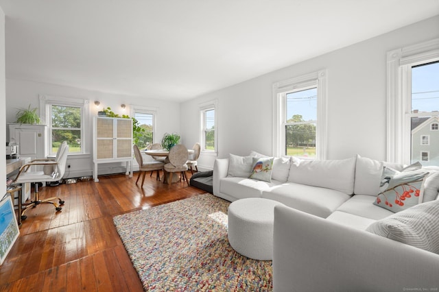 living room featuring dark hardwood / wood-style floors