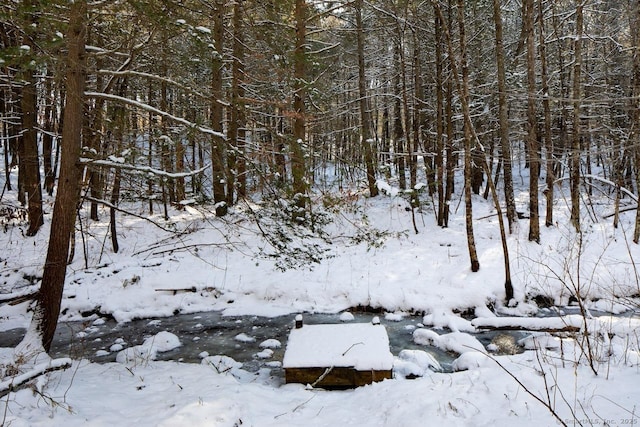 view of snowy landscape