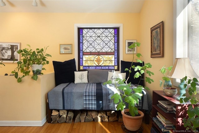 bedroom featuring multiple windows and wood-type flooring