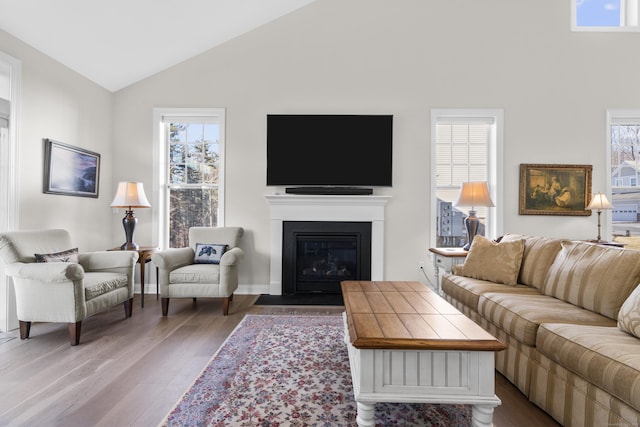 living room featuring wood-type flooring and vaulted ceiling